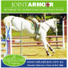 Showjumping horse joint support